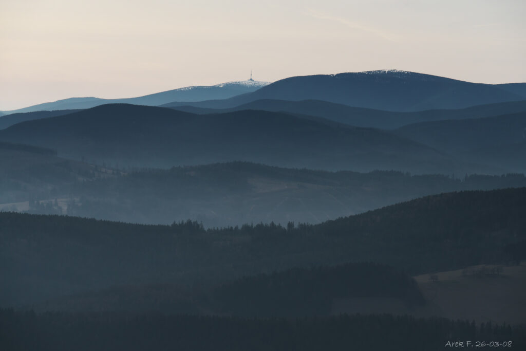 Pradziad z Borówkowej